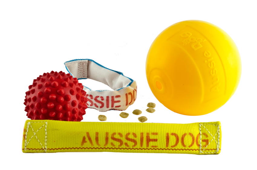 Australian Shepherd Puppy Dog Toys Pet Shop, puppy, game, animals png