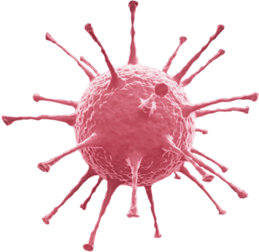 Bacteria PNG image with transparent background