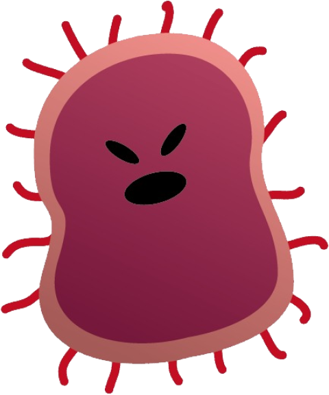 Bacteria PNG image with transparent background