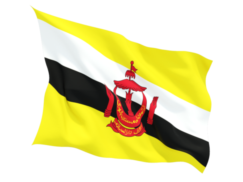 Flag of Brunei Flag of Brunei Flag of South Africa National flag, Flag, flag, national Emblem png