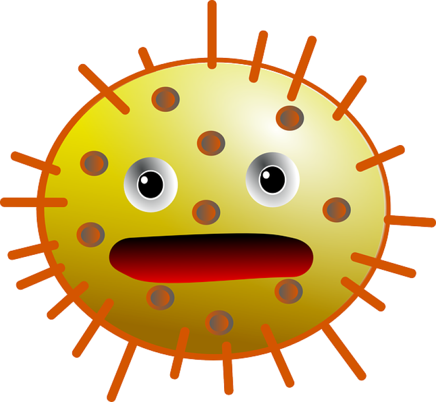 Bacteria PNG image with transparent background