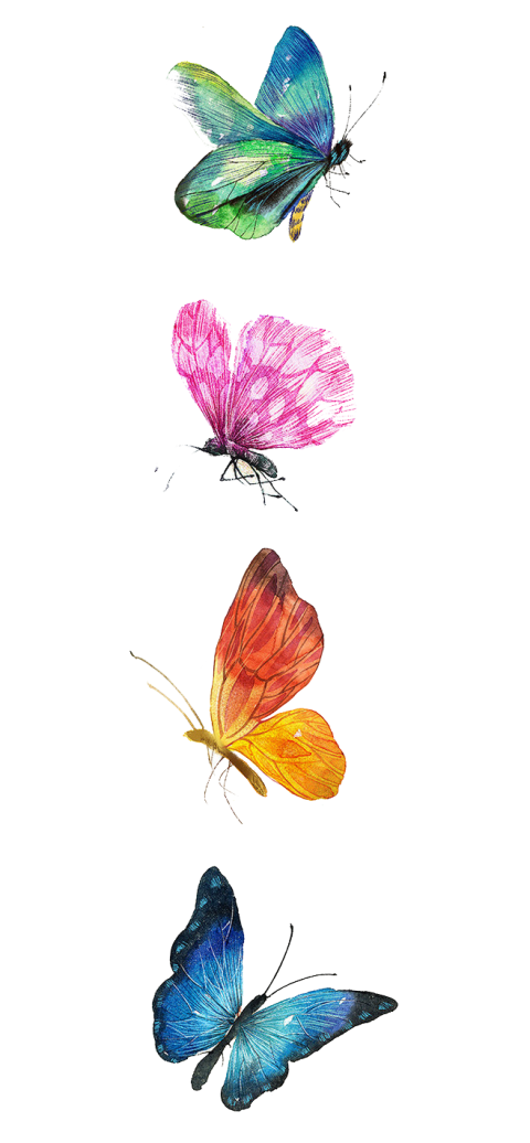 Butterfly Drawing Watercolor painting Illustration, butterfly, four assorted-color butterflies illutration, painted, brush Footed Butterfly png