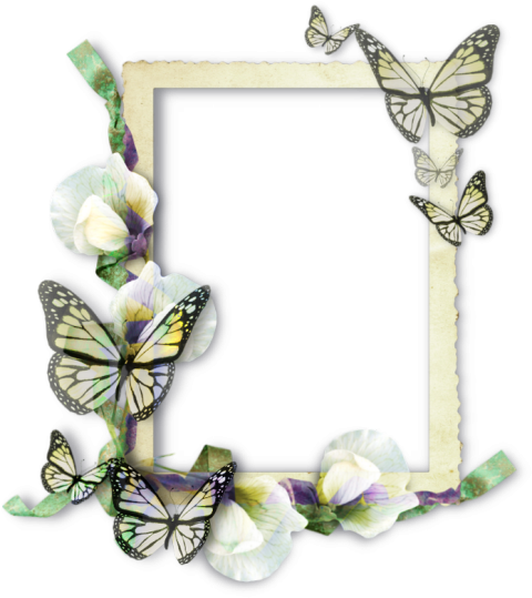 Butterfly Frames Molding Insect, butterfly frame, brush Footed Butterfly, insects png
