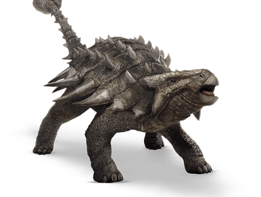 Gray ankylosaurus art, Ankylosaurus Triceratops Universal s Jurassic Park Dinosaur, jurassic world, terrestrial Animal, film png
