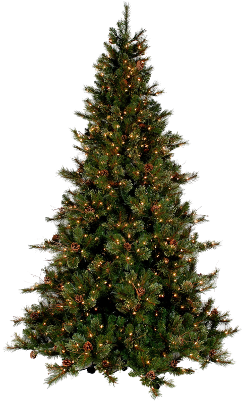Christmas Tree Transparent Image