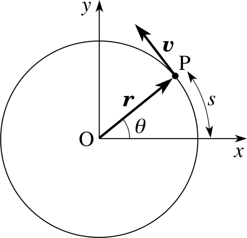 Angular momentum Angular velocity Circular motion Rotation around a fixed axis, speed ​​motion, angle, white png