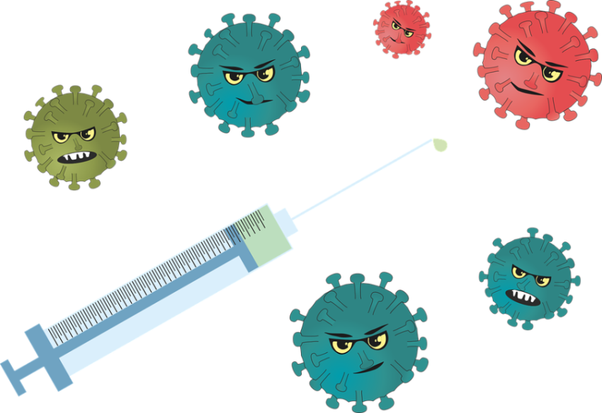 Bacteria PNG image with transparent background