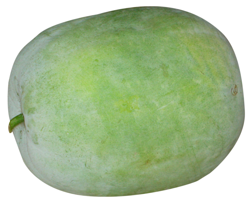 Watermelon Wax gourd, Winter Melon, food, gourd png