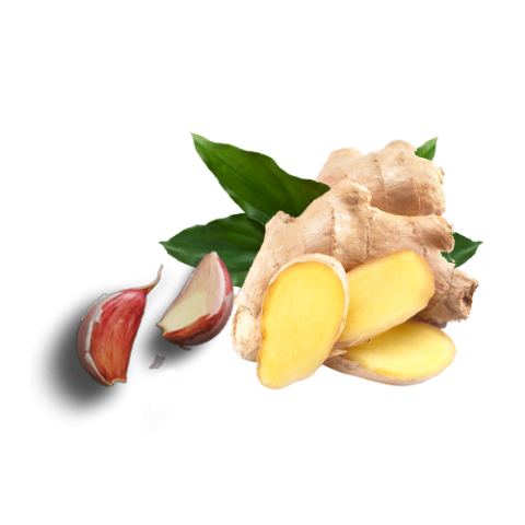 garlic, perennial Plant, ingredients